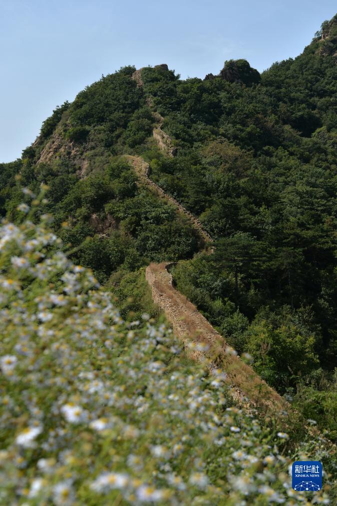 九州备用线路1